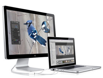 apple cinema display